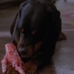 Prince chows down in Wes Craven's "The People Under the Stairs" (1991)